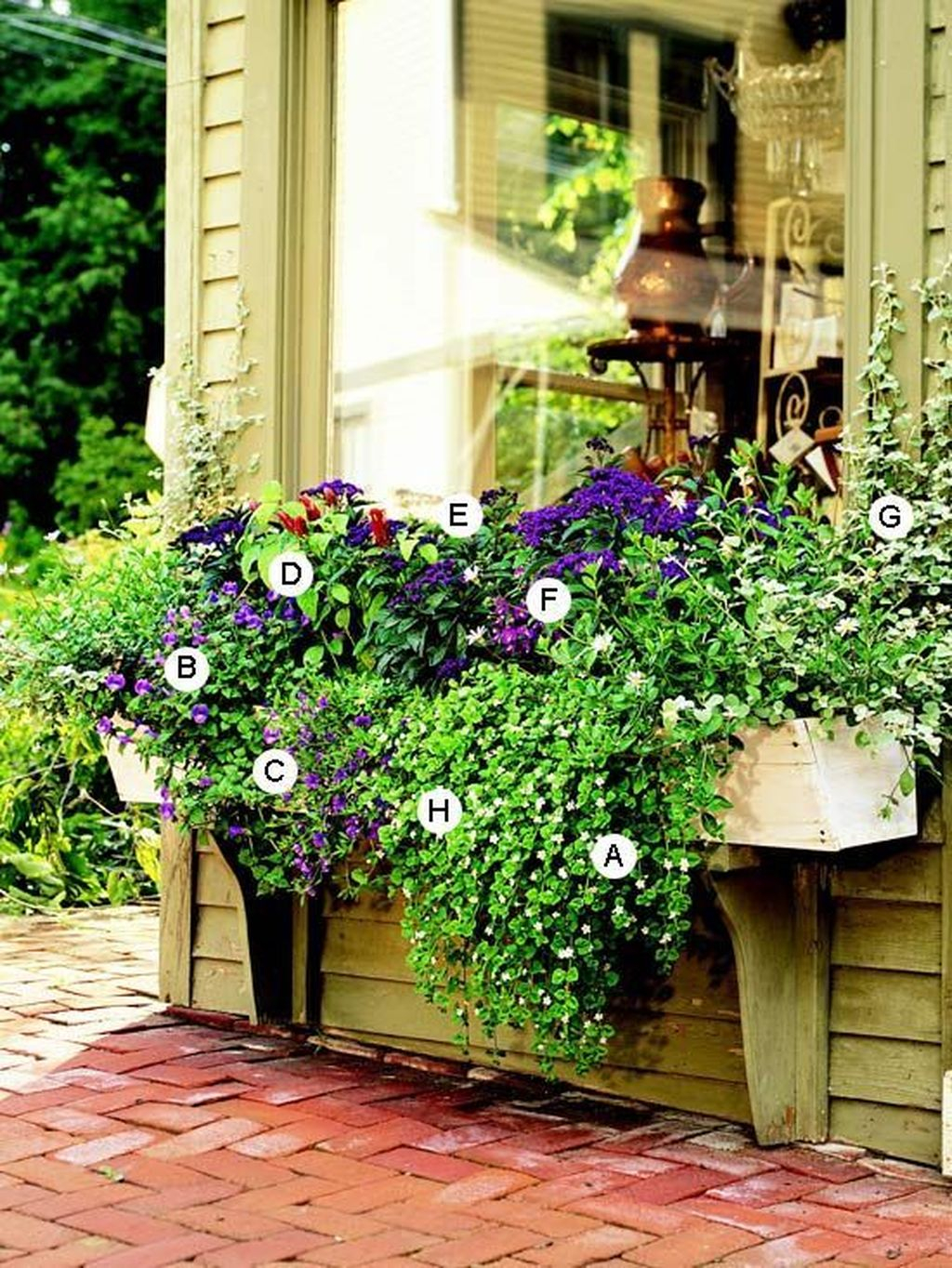 Amazing Windows Flower Boxes Design Ideas Must See33
