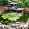 Awesome Small Waterfall Pond Landscaping Ideas Backyard13