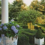 Elegant Colorful Bobo Hydrangea Garden Landscaping Ideas07