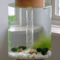 Amazing Aquarium Feature Coffee Table Design Ideas23
