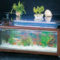 Amazing Aquarium Feature Coffee Table Design Ideas49