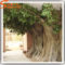 Amazing Big Tree Landscaping Ideas22