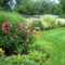 Amazing Grass Landscaping For Home Yard02
