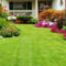 Amazing Grass Landscaping For Home Yard13