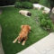 Amazing Grass Landscaping For Home Yard35
