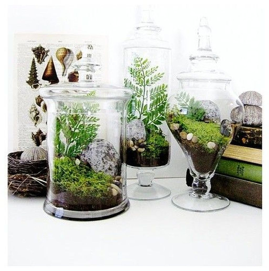 35 Awesome Ideas To Make Glass Jars Garden For Your Home Decor.