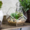 Awesome Ideas To Make Glass Jars Garden For Your Home Decor13