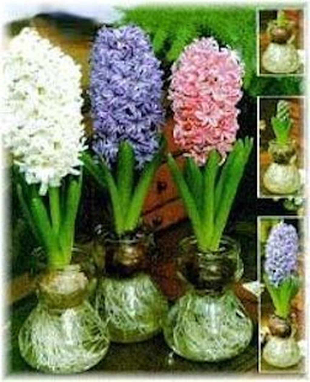 35 Awesome Ideas To Make Glass Jars Garden For Your Home Decor - HOMISHOME