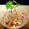 Inspiring Cool Water Beads For Indoor Decoration07