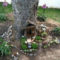 Impressive Magical Mini Garden Ideas15