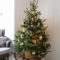 Amazing Diy Christmas Tree Ideas34