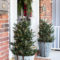 Amazing Outdoor Christmas Trees Ideas 18