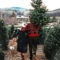 Amazing Outdoor Christmas Trees Ideas 23