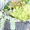 Cheap Succulent Plants Decor Ideas You Will Love10