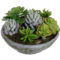 Cheap Succulent Plants Decor Ideas You Will Love22