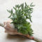 Cheap Succulent Plants Decor Ideas You Will Love47