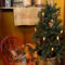 Minimalist Small Tree In A Bucket Ideas For Christmas13