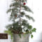 Minimalist Small Tree In A Bucket Ideas For Christmas19