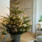 Minimalist Small Tree In A Bucket Ideas For Christmas35