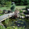 Popular Pond Garden Ideas For Beautiful Backyard12