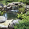 Popular Pond Garden Ideas For Beautiful Backyard16
