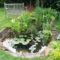 Popular Pond Garden Ideas For Beautiful Backyard17