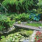 Popular Pond Garden Ideas For Beautiful Backyard19
