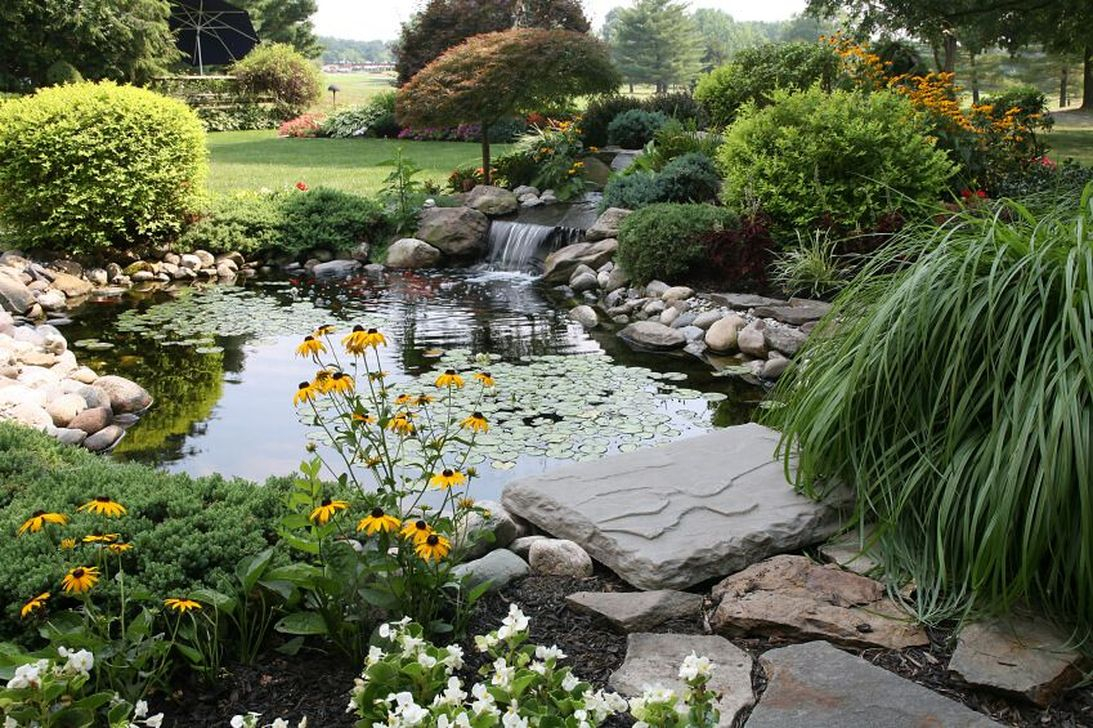 Popular Pond Garden Ideas For Beautiful Backyard24