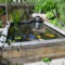 Popular Pond Garden Ideas For Beautiful Backyard31