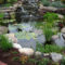 Popular Pond Garden Ideas For Beautiful Backyard33