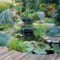 Popular Pond Garden Ideas For Beautiful Backyard34