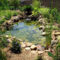 Popular Pond Garden Ideas For Beautiful Backyard35