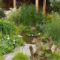Popular Pond Garden Ideas For Beautiful Backyard40