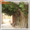 Amazing Big Tree Landscaping Ideas19