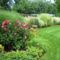 Amazing Grass Landscaping For Home Yard05