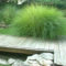 Amazing Grass Landscaping For Home Yard29