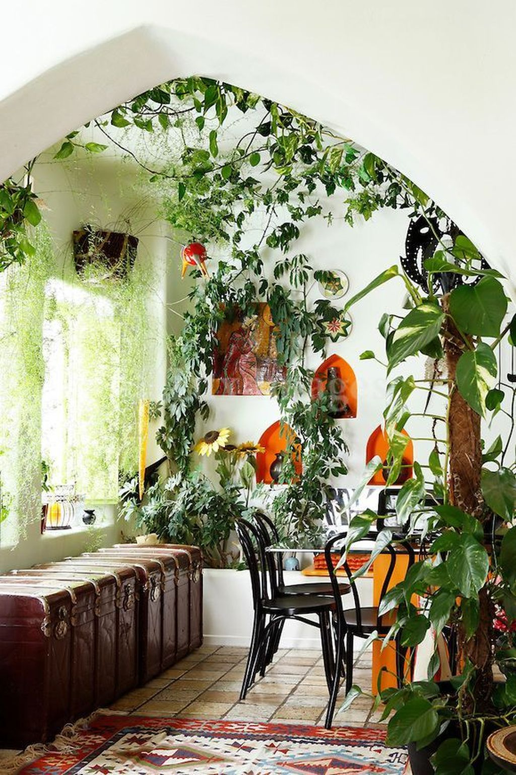 Плющ на кухне. Лианы в интерьере. Комнатные растения в интерьере квартиры. Вьющийся растения в интерьере. Растения на стене в квартире.