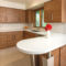 Amazing Modern Mid Century Kitchen Remodel38