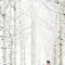 Awesome Winter Wonderland Wedding Decoration05