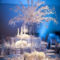 Awesome Winter Wonderland Wedding Decoration31