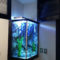 Awesome Aquarium Partition Ideas01