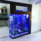 Awesome Aquarium Partition Ideas28