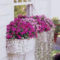 Gorgeous Flower On Balcony Ideas33