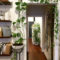 Lovely Display Indoor Plants01