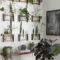 Lovely Display Indoor Plants02