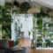 Lovely Display Indoor Plants08