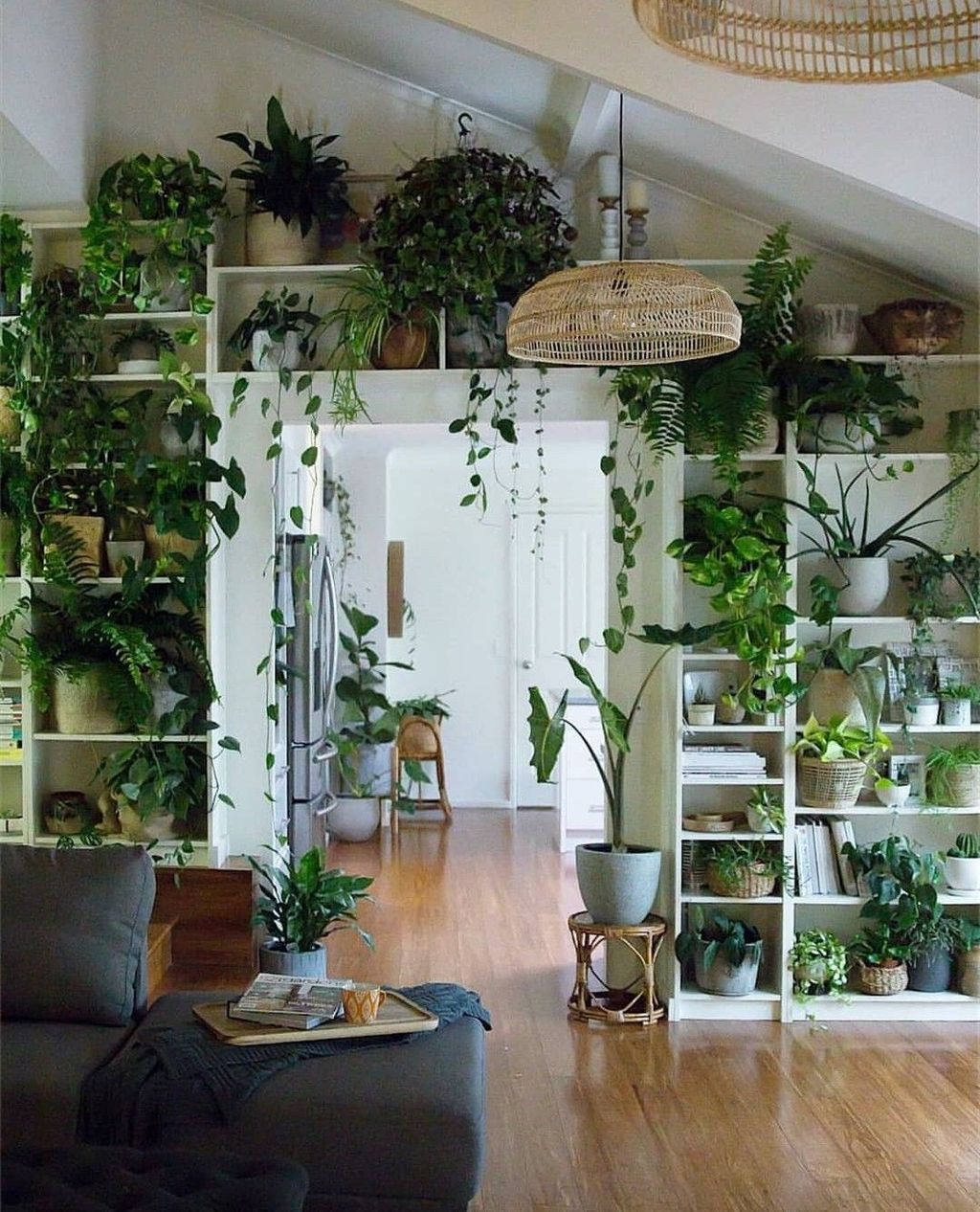 Lovely Display Indoor Plants08