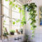 Lovely Display Indoor Plants10