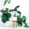Lovely Display Indoor Plants11