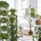 Lovely Display Indoor Plants13